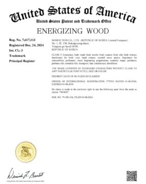 NONFICTION - ENERGIZING WOOD